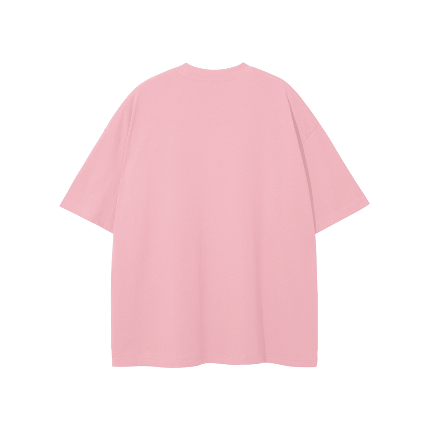 BIG LOGO LIGHT COLORED CLASSIC TEE