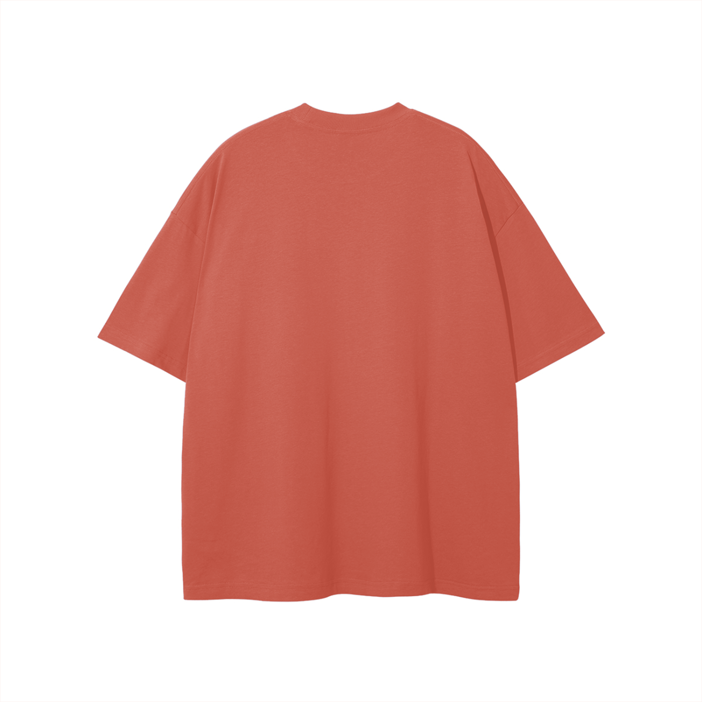 BIG LOGO LIGHT COLORED CLASSIC TEE